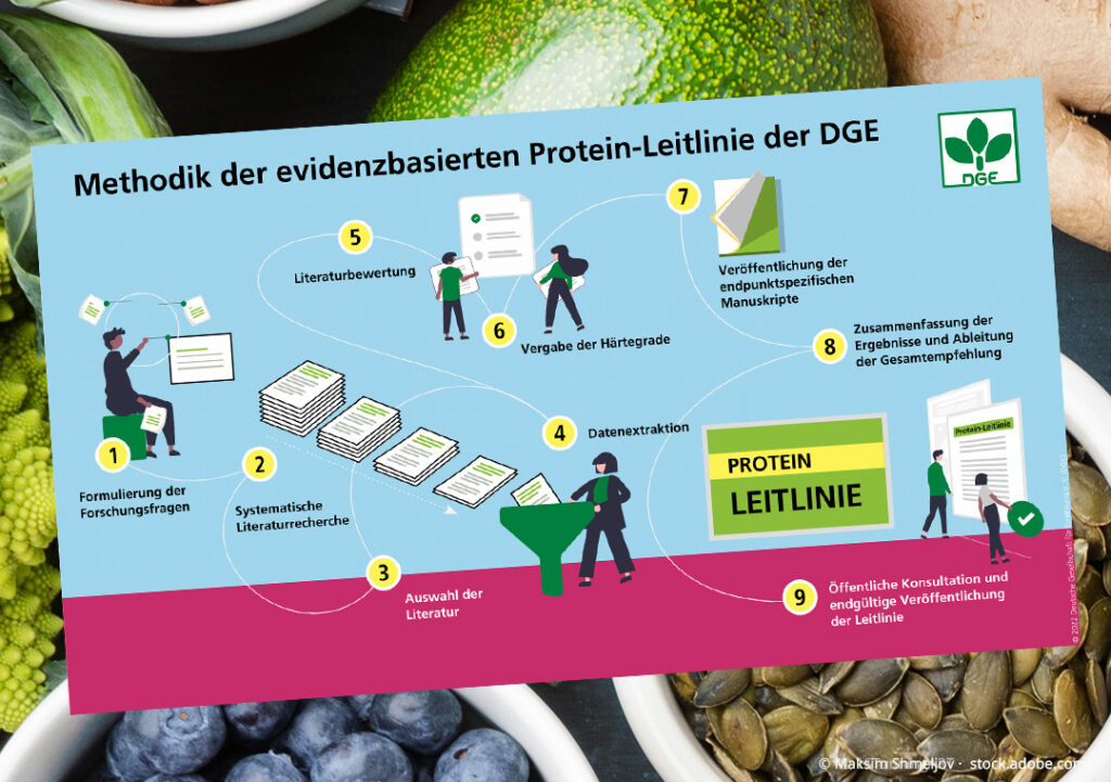 Protein-Leitlinie